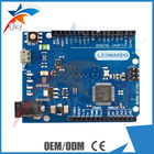 Leonardo R3 kurulu Arduino ilk olarak, USB kablo ile ATmega32U4 kurulu